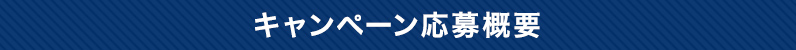 キャンペーン応募概要